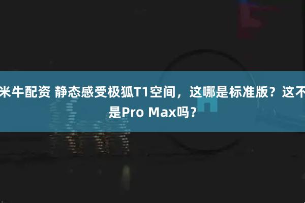 米牛配资 静态感受极狐T1空间，这哪是标准版？这不是Pro Max吗？