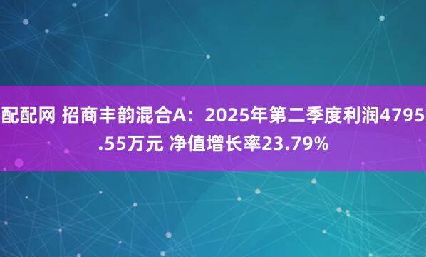 配配网 招商丰韵混合A：2025年第二季度利润4795.55万元 净值增长率23.79%