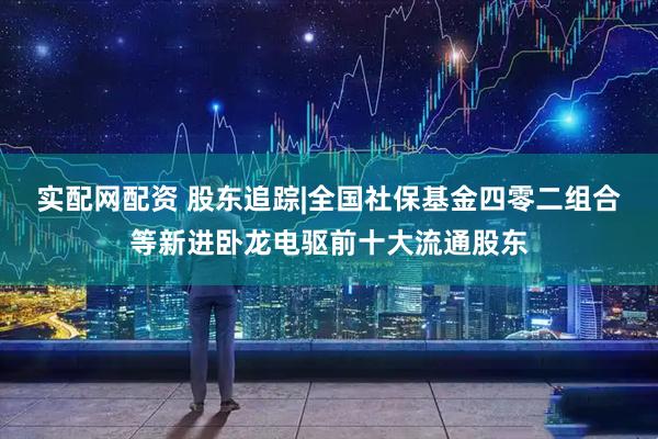 实配网配资 股东追踪|全国社保基金四零二组合等新进卧龙电驱前十大流通股东